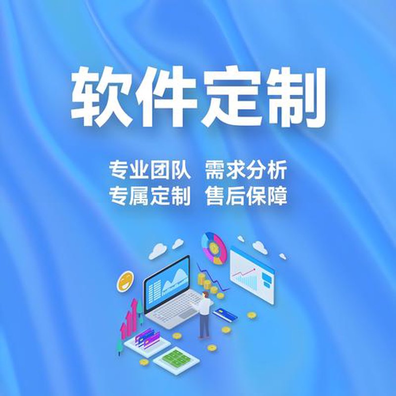 软件定制开发引领企业信息化革命